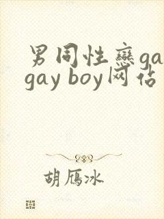男同性恋gaygay boy网站