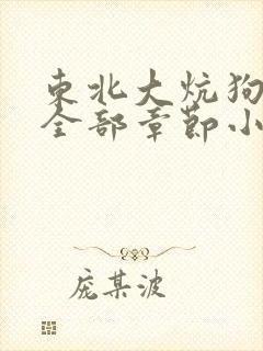 东北大炕狗儿娘全部章节小说