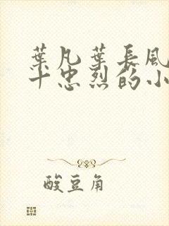 叶凡叶长风一门十忠烈的小说名封面