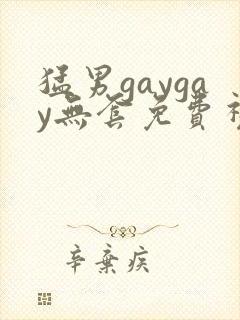 猛男gaygay无套免费视频