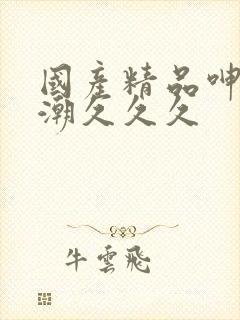 国产精品呻吟高潮久久久封面