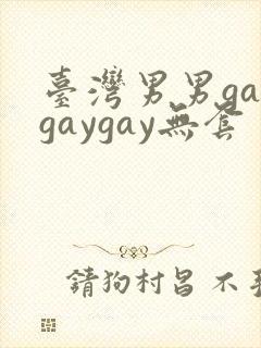 台湾男男gaygaygay无套