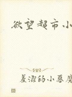 欲望超市小说