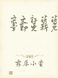 宋文许萌萌最新章节更新免费阅读