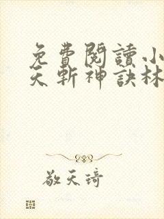 免费阅读小说九天斩神诀林辰