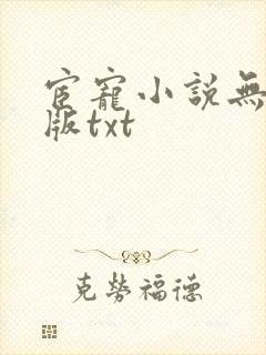 宦宠小说无删减版txt