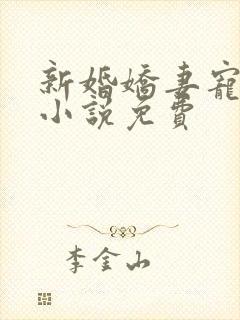 新婚娇妻宠上瘾小说免费