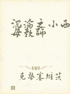 沉沦之小西的美母教师封面