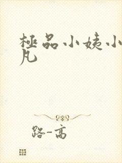 极品小姨小说叶凡封面