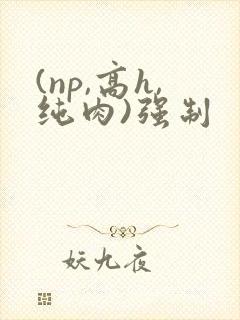(np,高h,纯肉)强制