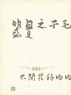 明日之子毛不易盛夏