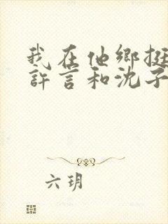 我在他乡挺好的许言和沈子畅结局