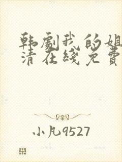 韩剧我的姐姐高清在线免费观看封面