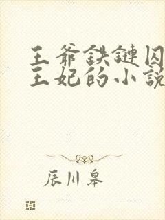 王爷铁链囚禁锁王妃的小说封面