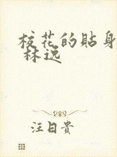 校花的贴身高手 林逸