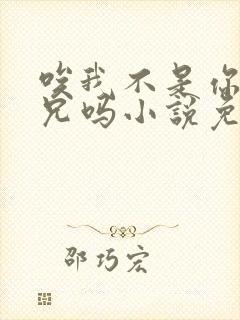 唉我不是你们养兄吗小说免费阅读