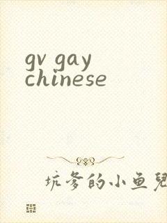 gv gay chinese