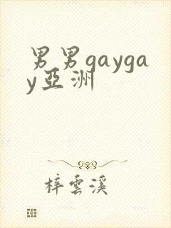 男男gaygay亚洲