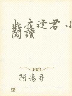 此夜逢君 小说阅读