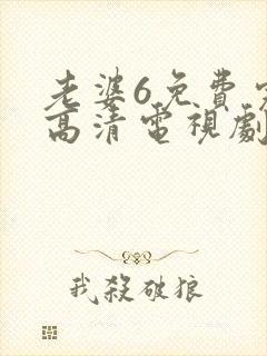 老婆6免费完整高清电视剧在线观看封面