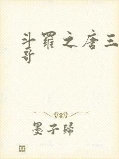斗罗之唐三是我哥