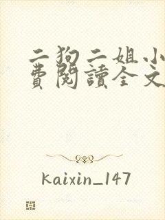 二狗二姐小说免费阅读全文