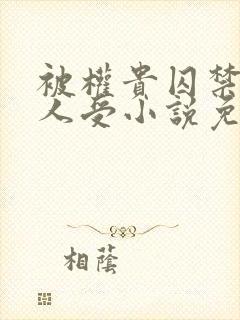 被权贵囚禁的美人受小说免费阅读下