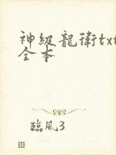 神级龙卫txt全本