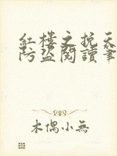 红楼之挽天倾无防盗阅读笔趣阁封面