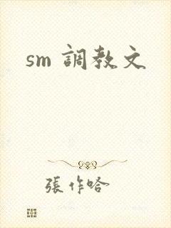 sm 调教文