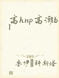 高hnp高潮bl
