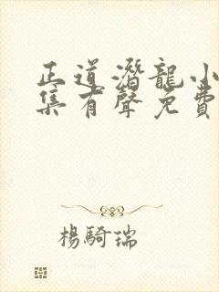 正道潜龙小说全集有声免费听