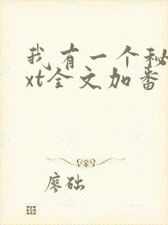 我有一个秘密txt全文加番外