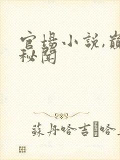 官场小说,巅峰秘闻