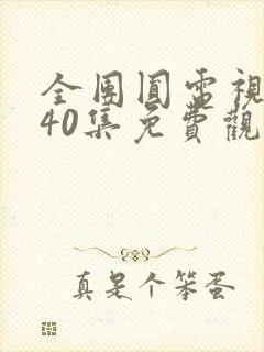 全团圆电视剧全40集免费观看封面