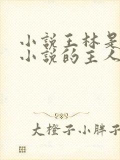 小说王林是哪本小说的主人公