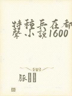 特种兵在都市有声小说1600