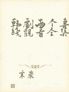 韩剧两个妻子在线观看全集免费