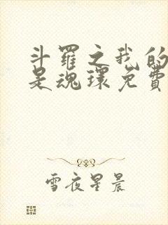 斗罗之我的武魂是魂环免费下载