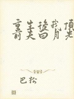 重生后我顶替了前夫白月光于一凡结局