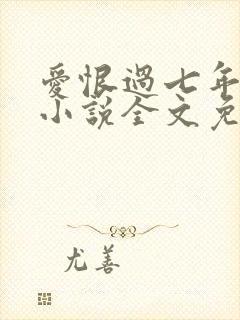 爱恨过七年原著小说全文免费阅读封面