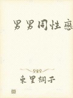 男男同性恋怎么