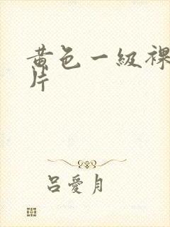 黄色一级裸体照片