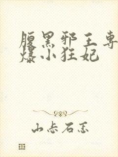 腹黑邪王专宠火爆小狂妃