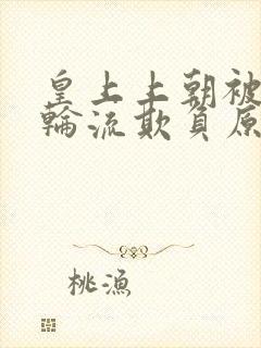 皇上上朝被百官轮流欺负原著小说