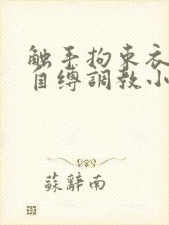 触手拘束衣淫堕自缚调教小说