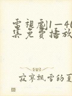 电视剧1—40集免费播放