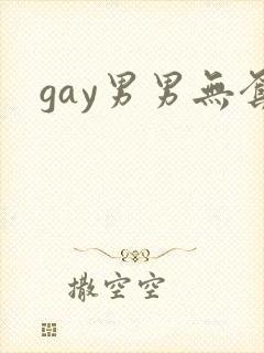 gay男男无套