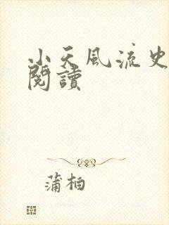 小天风流史在线阅读