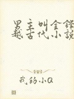 男主叫金锋的穿越古代小说